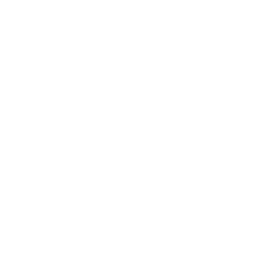 SCR Logo