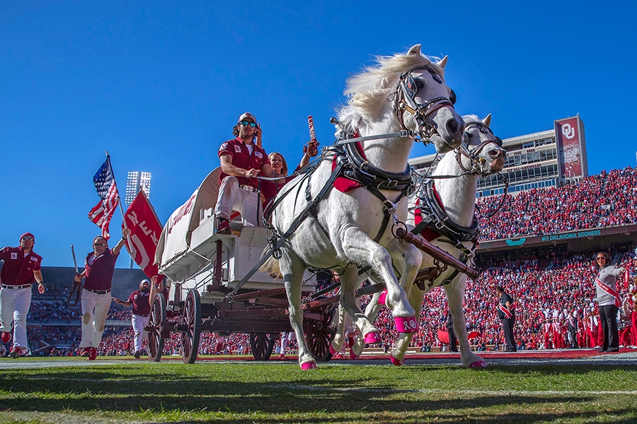 Rufnecks riding the Sooner Schooner, pulled by two white ponies.