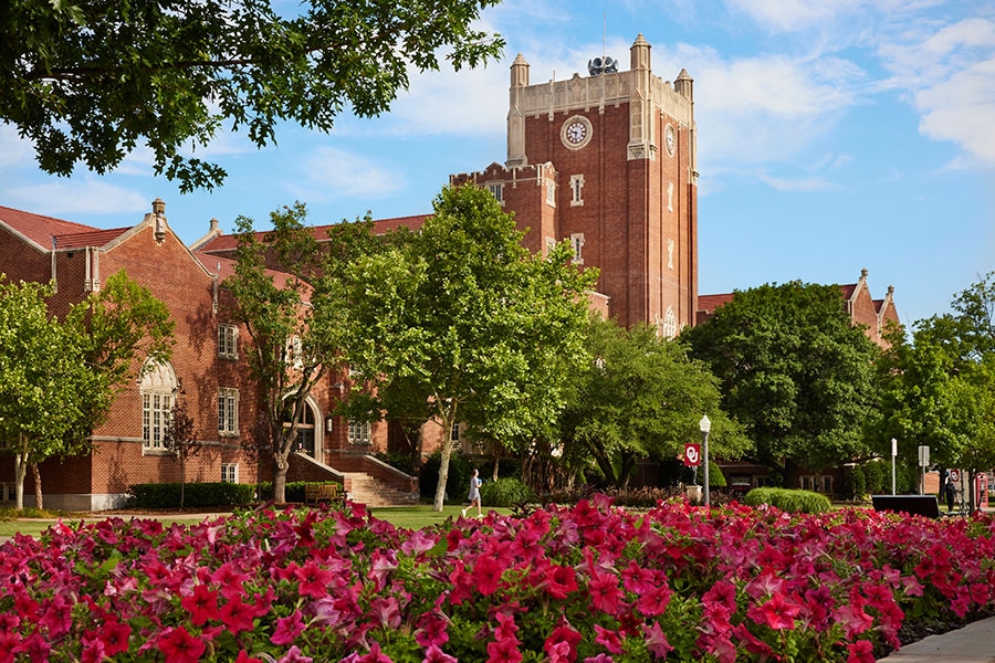 Crimson flowers on the University of Oklahoma Norman campus in spring.