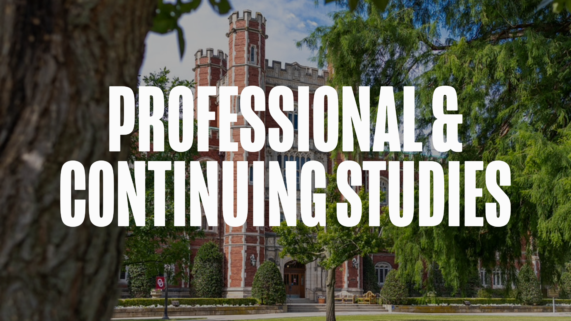 Professional and Continuing Studies Website