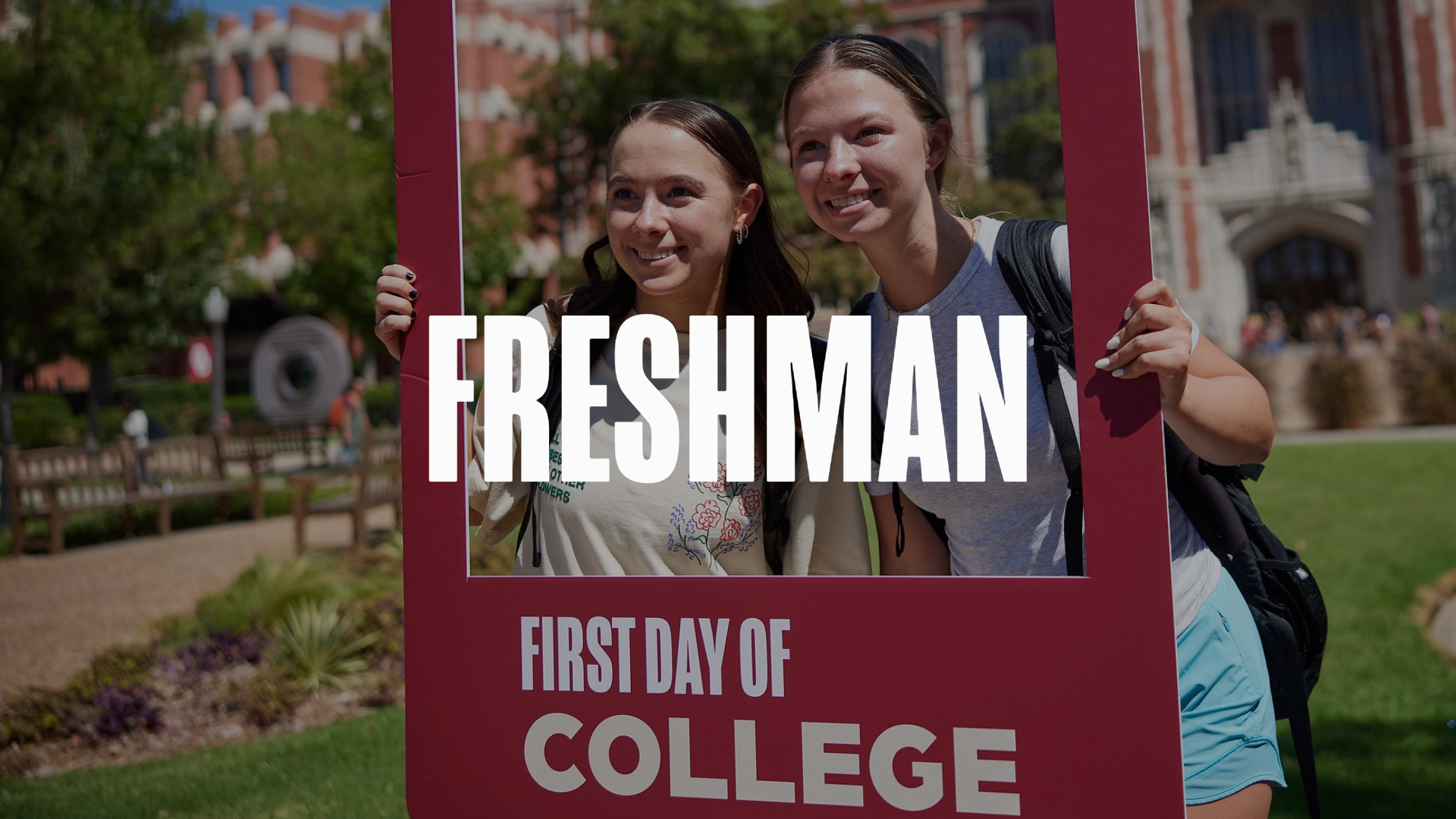 Freshman 应用 Page