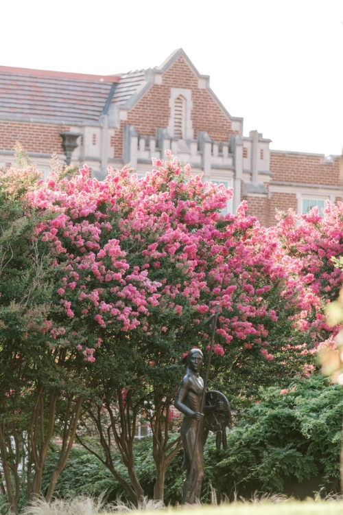 Spring Blooms on Campus