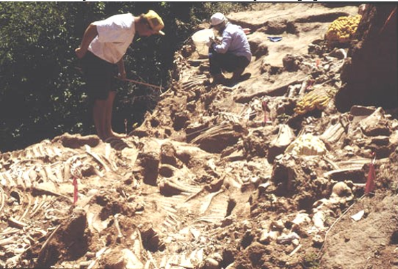 Cooper Site Excavation Site