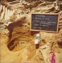 Cooper Site Separation of Bones between Kills