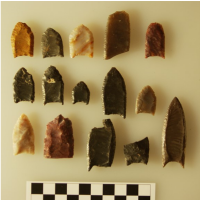 Lithic Assemblage from Cooper Site