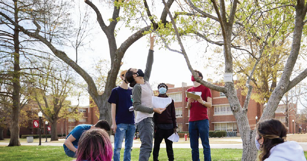 A group of students looking up at a tree on the OU campus.