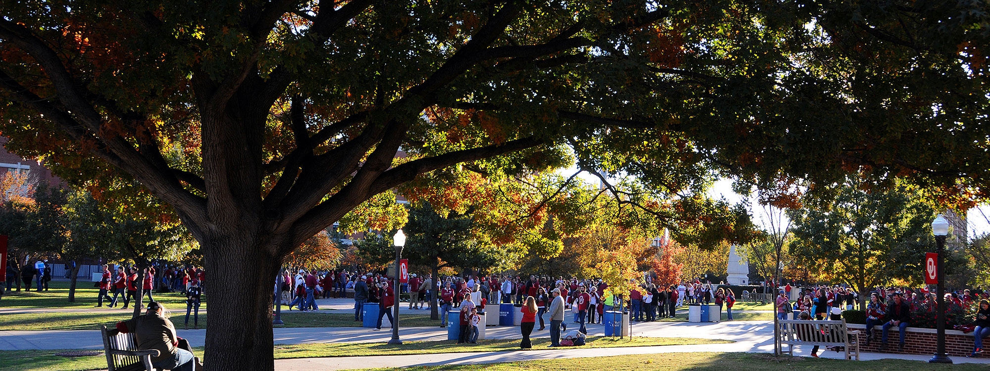 Walkway between Evans Hall and Bizzell Memorial Library, lined with lampposts with OU flags.