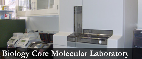 Biology core molecular laboratory Biology core molecular laboratory banner image