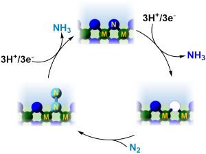   Transition Metal Nitride-Catalyzed Dinitrogen Electro-Reduction