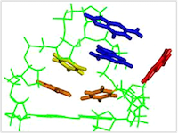 NMR Structure of pRNA E-loop hairpin