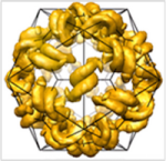 RNA helices inside satellite tobacco mosaic virus 