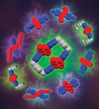 Functional Molecular Fluorescent Dyes
