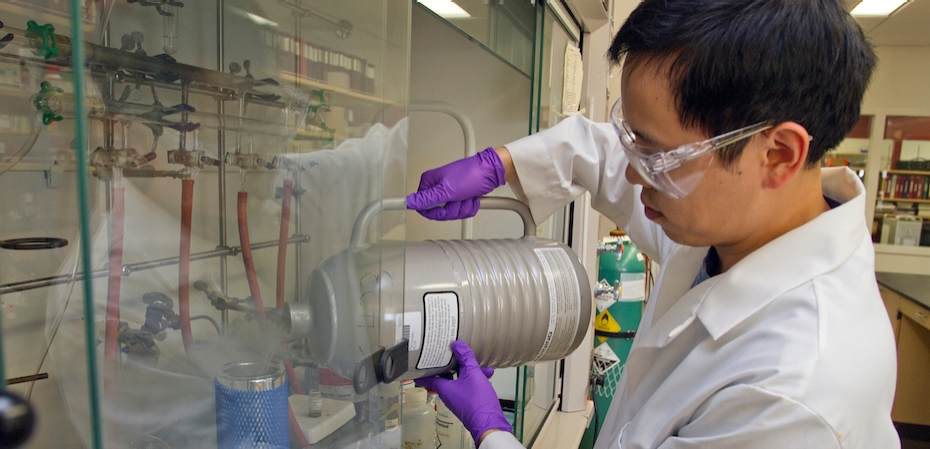 Student working in a lab