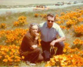 Photograph of Corliss & Esther Livesey in a field of orange flowers