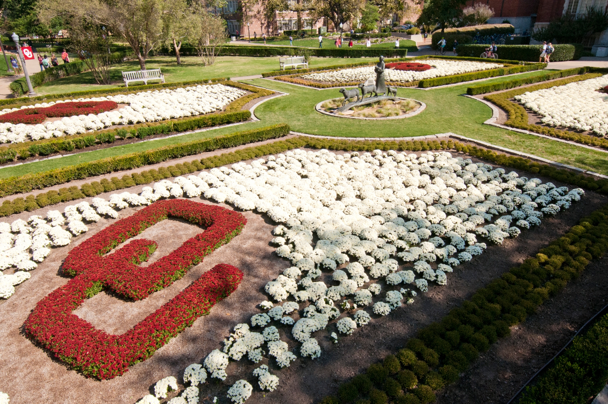 White and red flowers on the OU campus