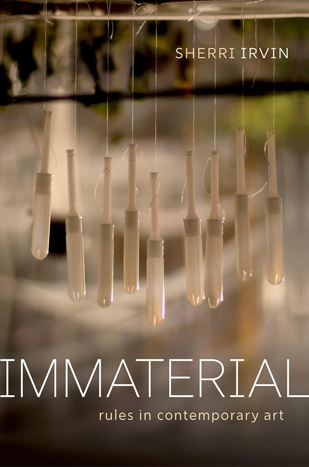 Book cover for Immaterial: Rules in Contemporary Art by Sherri Irvin.