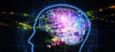 graphic of a human head with a brain