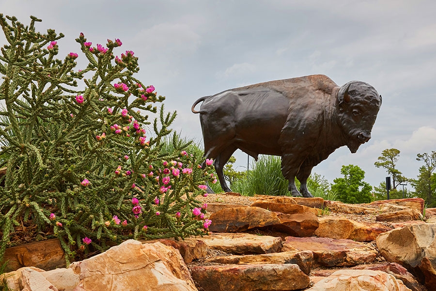 Buffalo statue on rocks with flowers