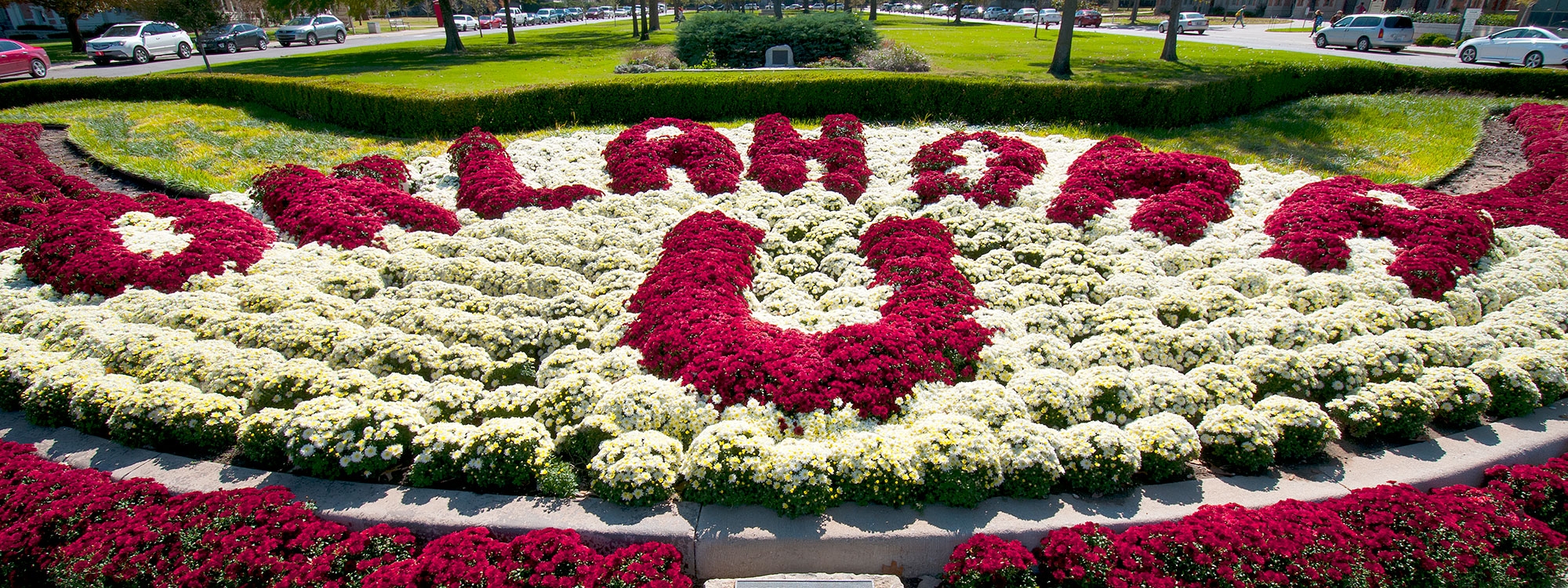 Oklahoma U flower garden in bloom with red and white flowers
