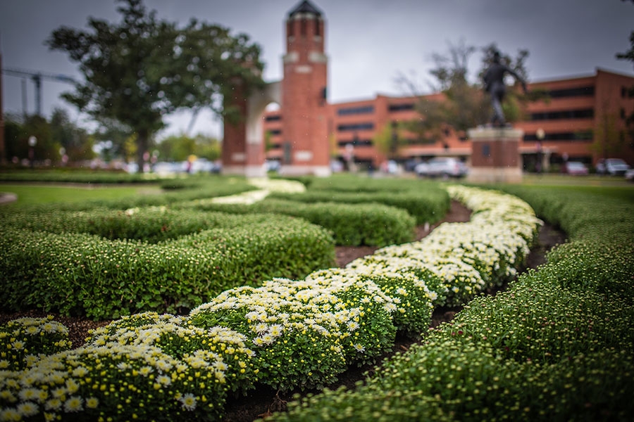 Campus flower garden with building in background