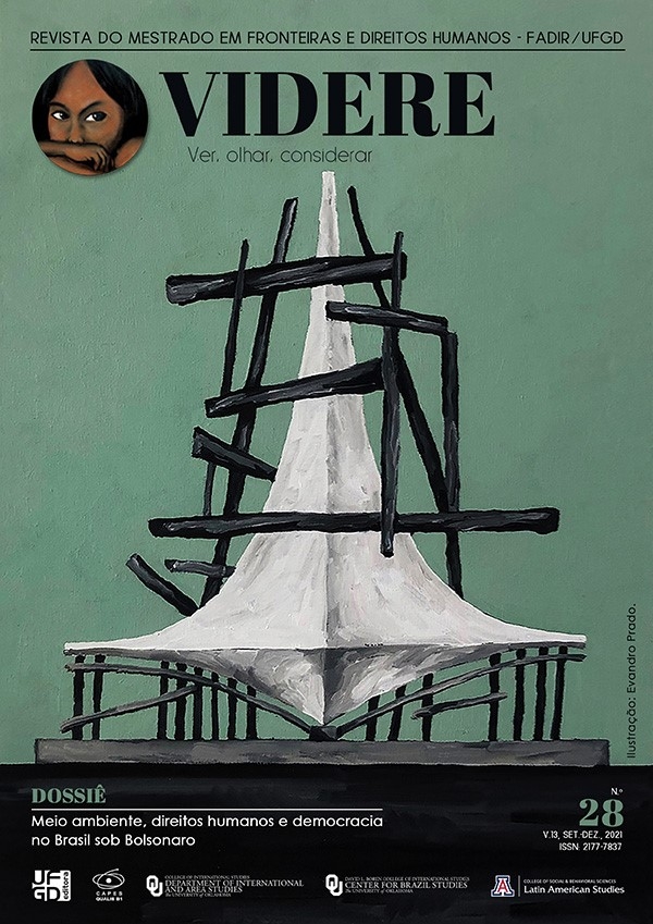 Videre special issue cover.