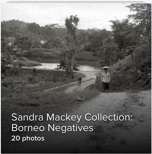 Borneo Negatives