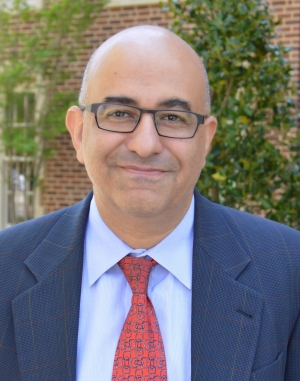 Samer Shehata