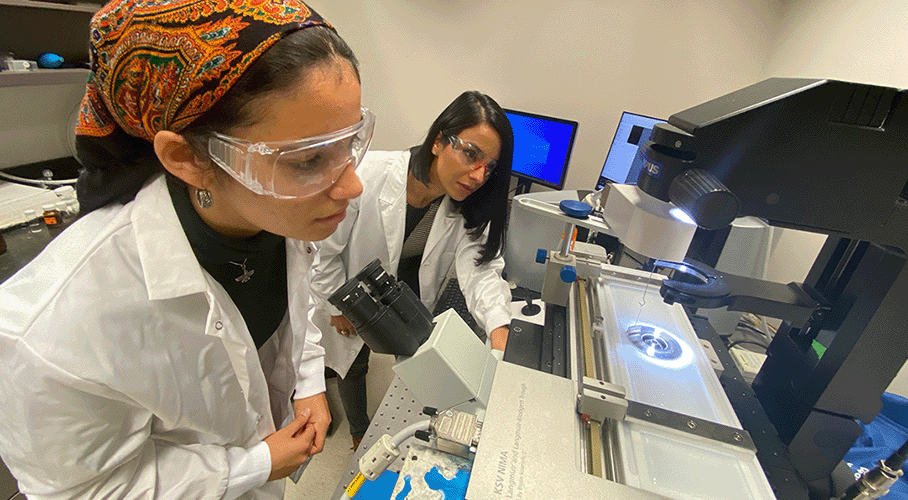 Two researchers working with a microscope