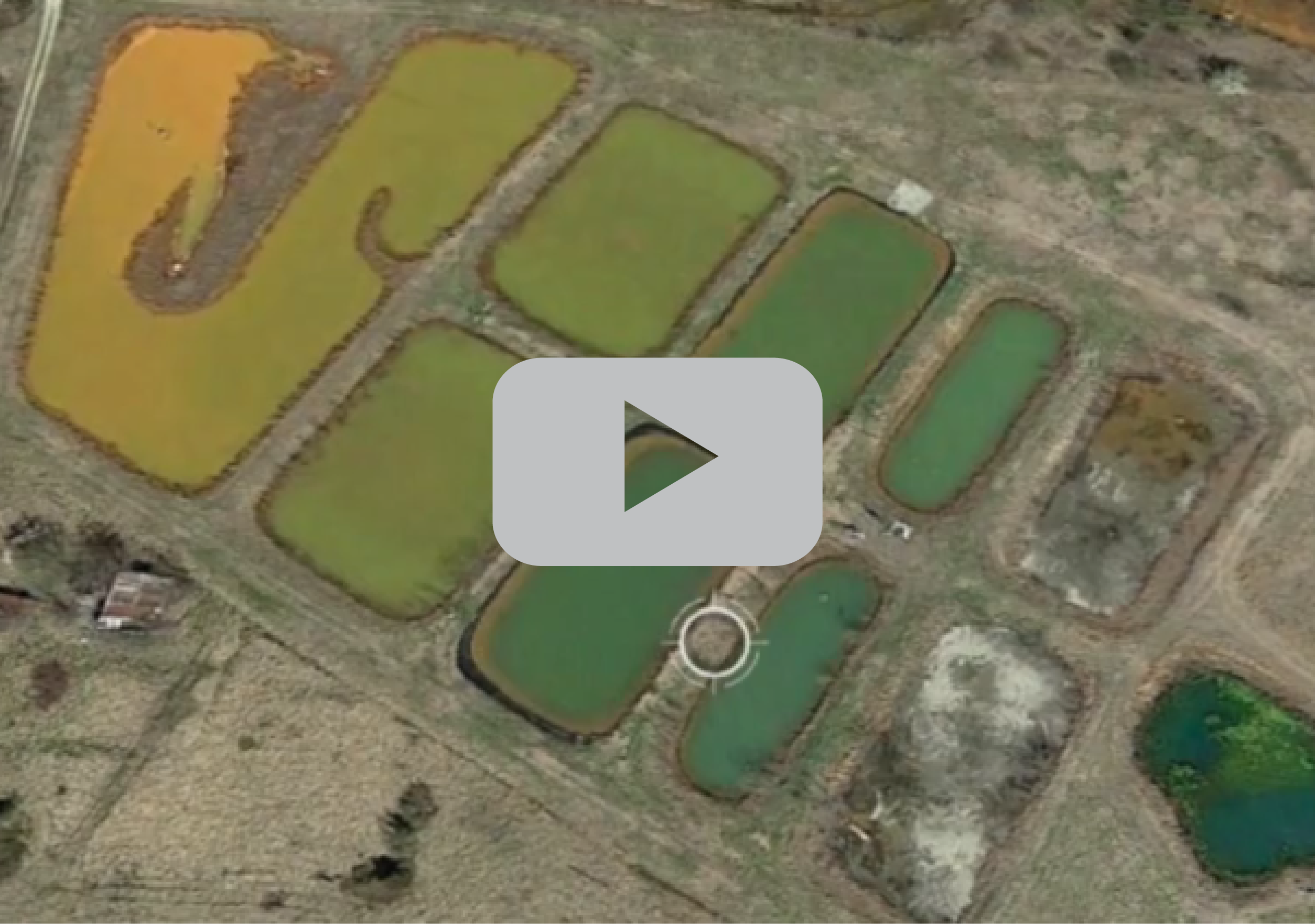 Passive water treatment pond