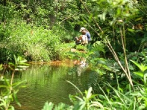 Sampling Beaver Creek at the TSMD