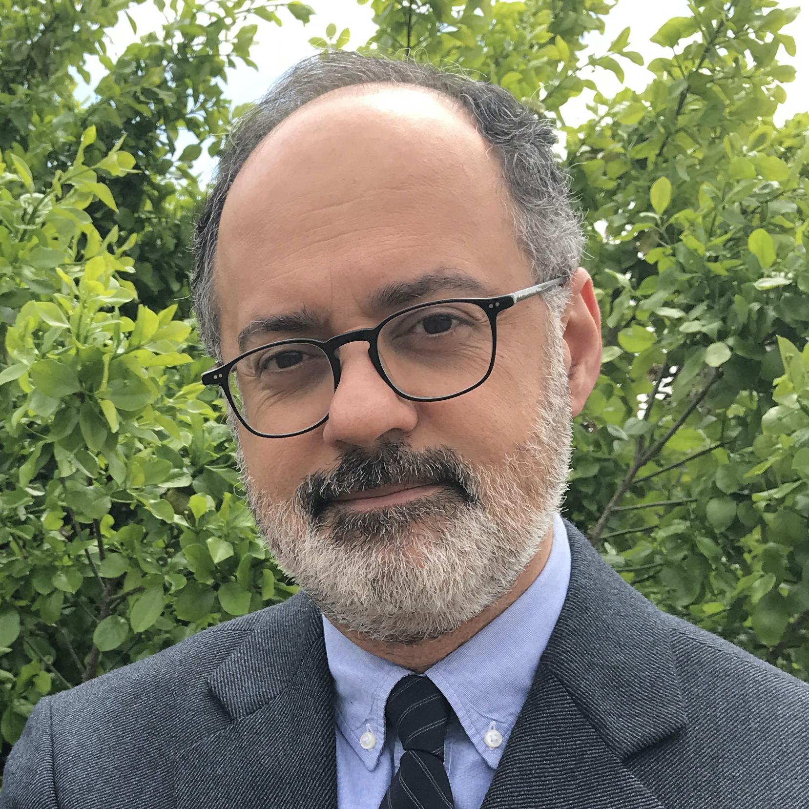 Afshin Marashi