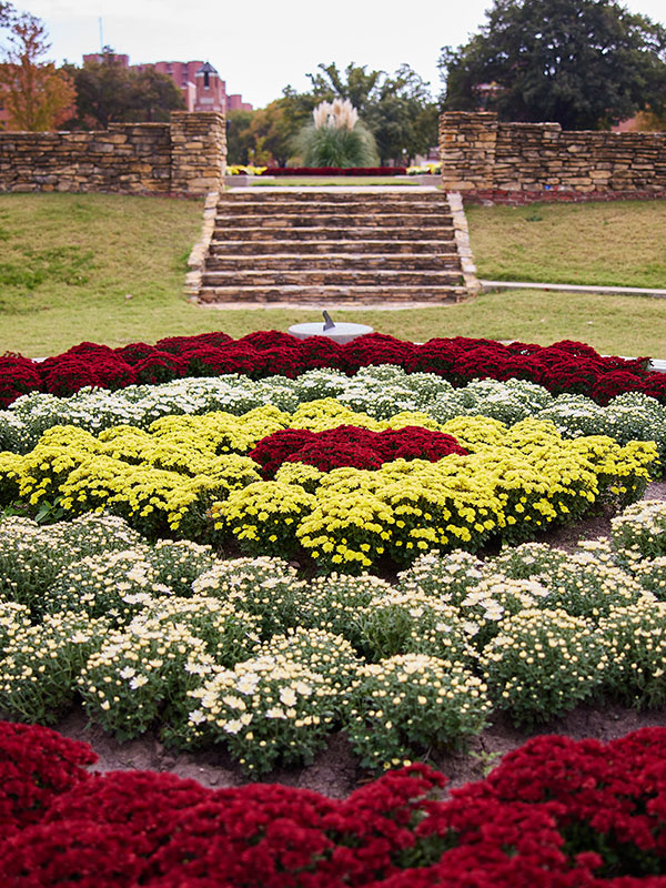 Campus mums with stairway