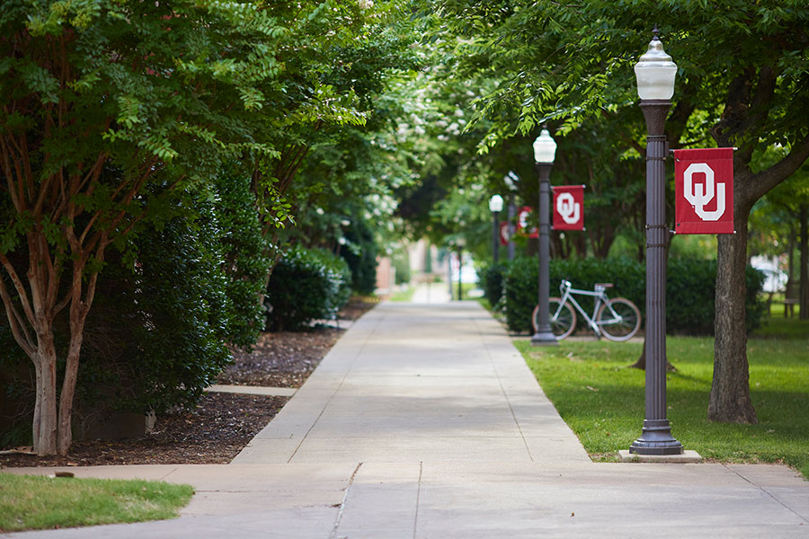 OU Sidewalk with trees on both sides. 