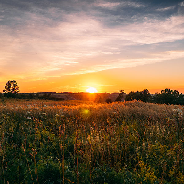 a setting sun over a field in oklahoma dappled with golden light.