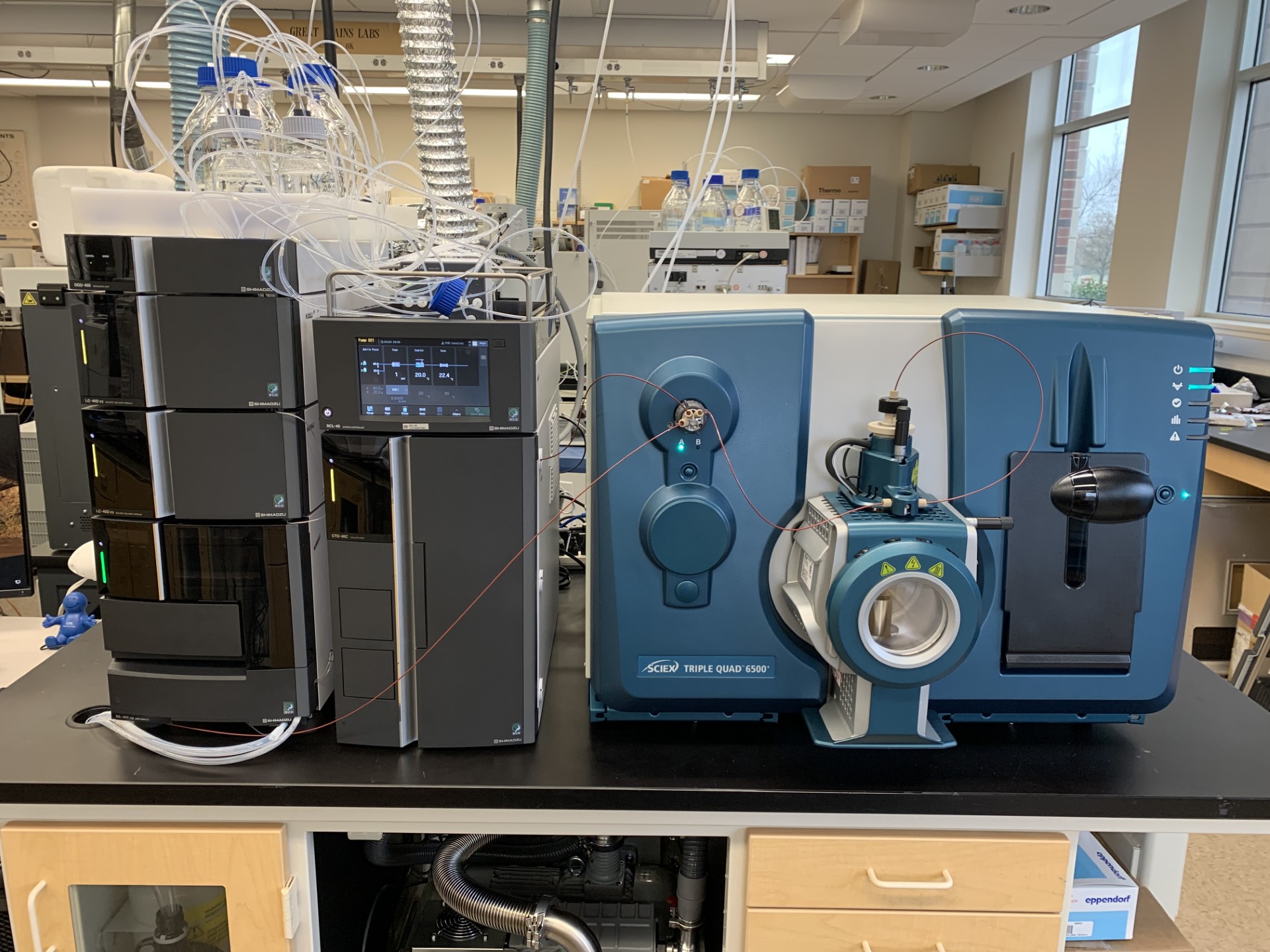 Triple Quadrupole MS (2023)