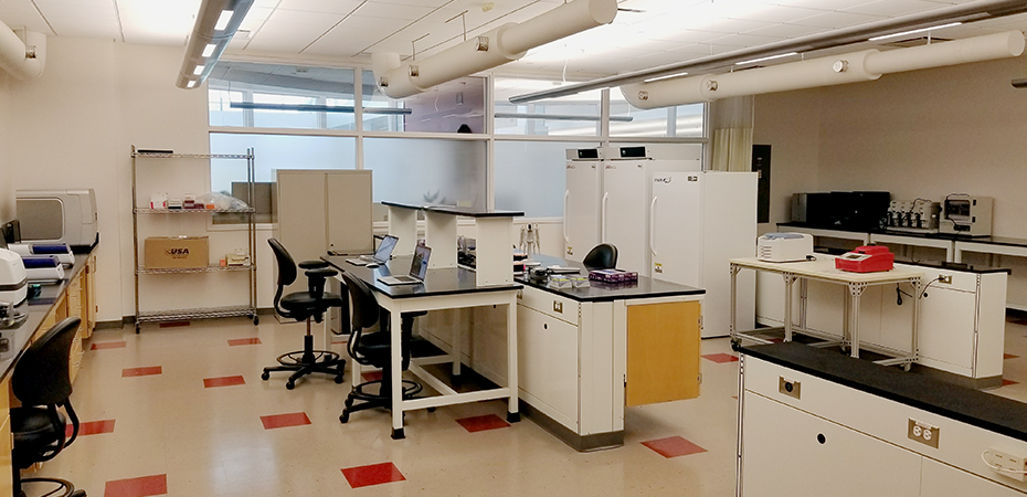 ccl lab