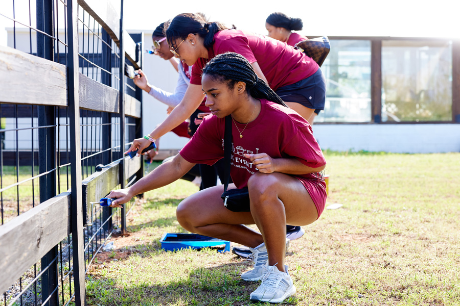 Students volunteering to paint a fence at The Big Event.