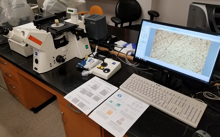 Kids Night with Microscopes. April 4th. Thursday 6-8 PM. At "The Well" - Cleveland County Wellness Center. 210 S. James Garner Ave, Norman OK 73069.