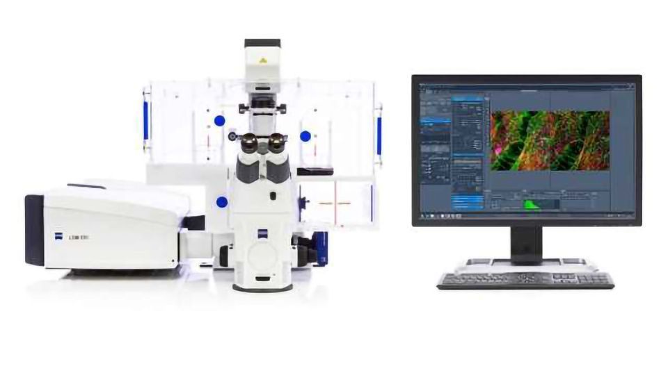 Zeiss 780 inverted confocal microscope with Airyscan