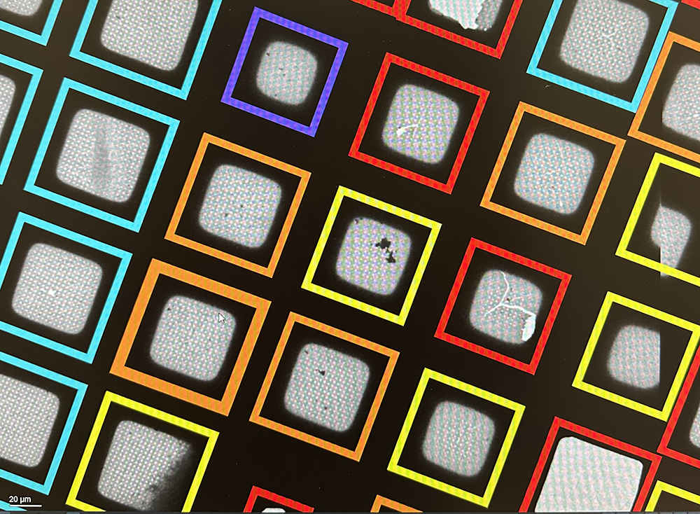 image of cryo-TEM grid atlas for decoration