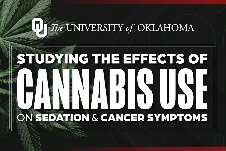 An image of cannabis leaves with 俄克拉荷马大学 wordmark at the top, followed by the words" Studying the effects of cannabis use on sedation & cancer symptoms".