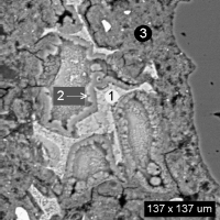 Higher detail of mortar near center