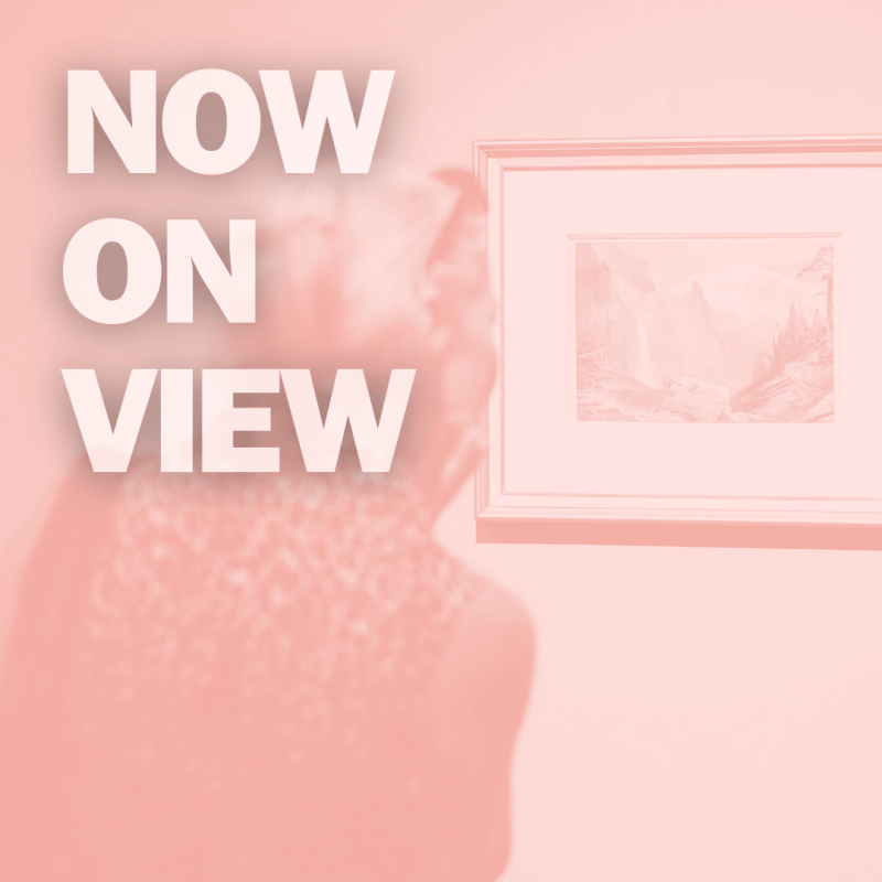 Now on view. 