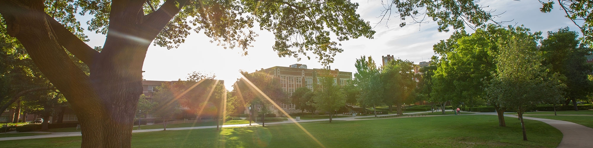 OU Norman campus lawn