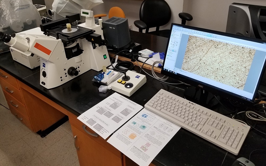 Image of Zeiss Axiovert 200M microscope with metal sample showing on the screen.