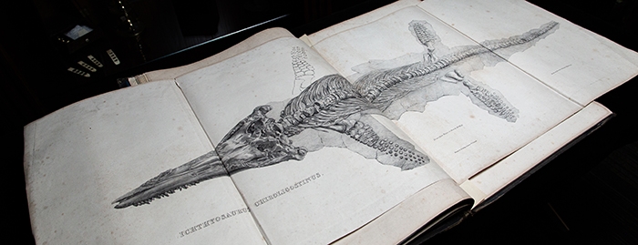 Mother of Dragons: the Life and Discoveries of Mary Anning Exhibit. Exhibit available at The University of Oklahoma.