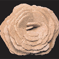 Rose Rock Rose Rock