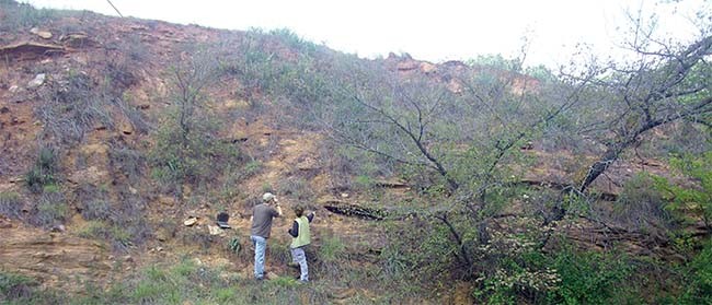 OGS Geologic 映射 OGS Geologic 映射