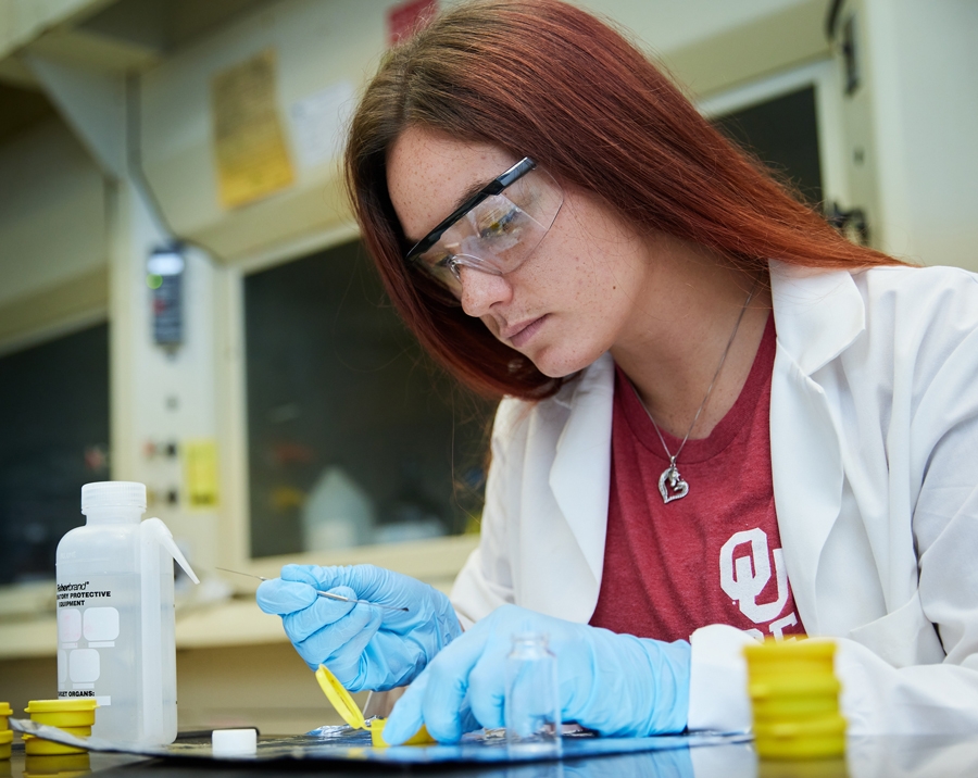 scientist examining contents of test tube