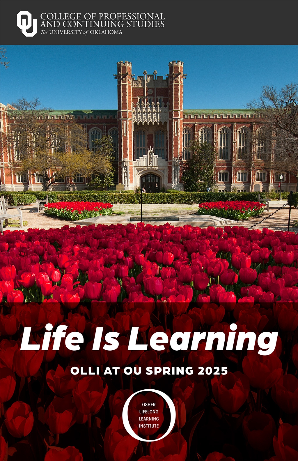 Life is Learning - OLLI at OU Spring 2025 - Osher终身学习学院 pdf